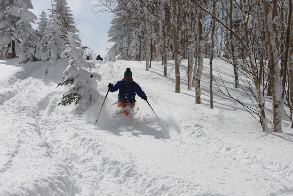 Aspen Shiga Hotel Yamanouchi  Exterior photo